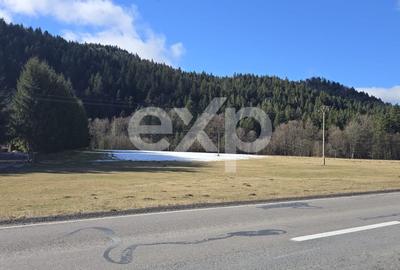 Teren Construcții extravilan de 19200 mp, în Brădet - 1