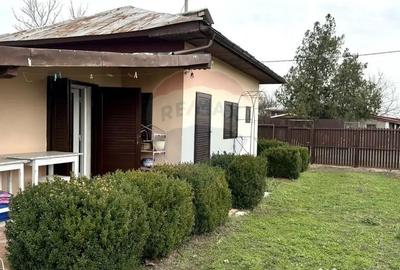 Teren de 1944 mp, în Dărăști-Vlașca - 2