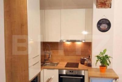 Cladire de patrimoniu din secolului XIX, de vanzare, zona - 16