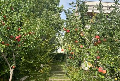 Casă individuală cu 3 camere cu Teren 830 Mp în Corbeanca - 24