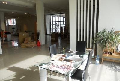 Showroom mobila-prod.+birouri  500 -1500 mp , Gh. Doja , pret 3.6 euro/ mp - 3