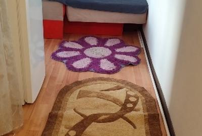 Casa de cultura,garsonieră de închiriat,termen lung.Pret 250euro - 1