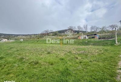 Spațiu comercial, în Central - 2