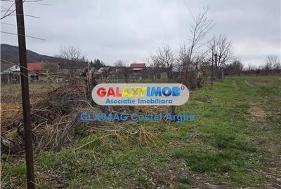 Teren de 1000 mp, în Ștefănești