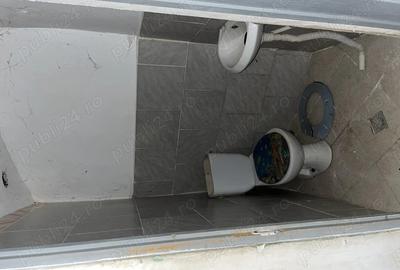 Vand casa zona Titulescu Banu Manta - 2