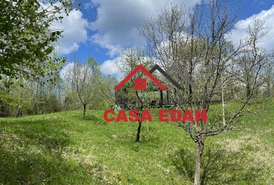 Teren de 9104 mp, în Brebu - 7