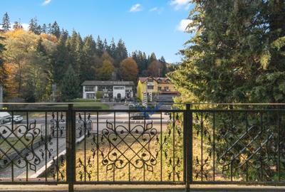 Proprietate cu potențial uriaș - Timișul de Sus - Brașov Proprietate cu potențial uriaș - Timișul de Sus - Brașov - 13