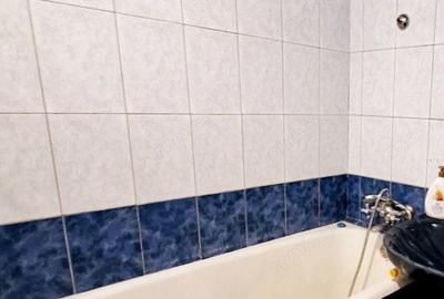 Garsonieră în Banu Manta - 3