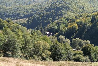 Cabana Sibiu Intravilan 4622mp Munte - 2