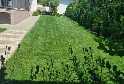 Casă cu 3 camere cu Teren 370 Mp în Sâncraiu de Mureș - 6