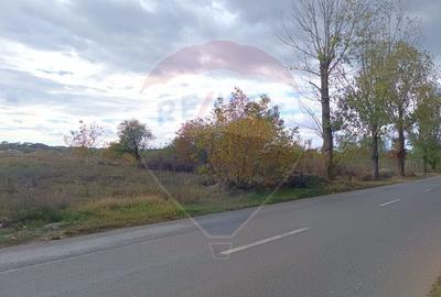 Teren Construcții intravilan de 2056 mp, în Ciolpani - 6