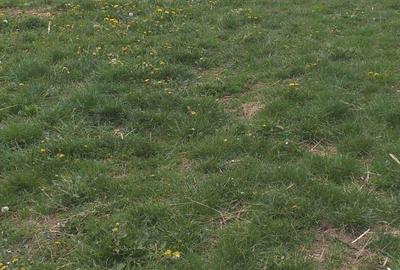 Se vinde casa in comuna Recea Cristur din caramida! Se vinde casa in comuna Recea Cristur din caramida! - 2