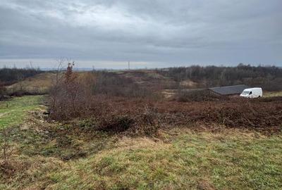 Teren de 5000 mp, în Recea - 3