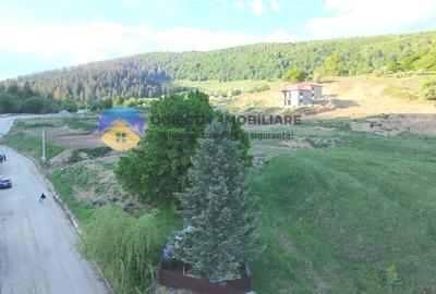 TEREN intravilan PIATRA NEAMT strada DRAGOS VODA (Valea Viei) - 6