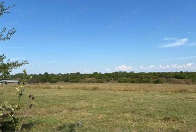 Teren de 7500 mp, în Băicoi - 4