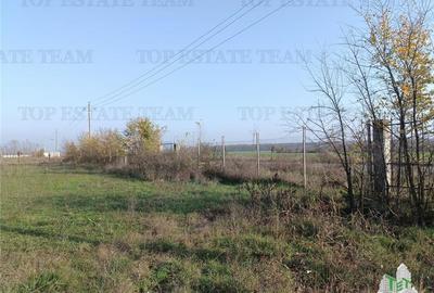 Teren agricol intravilan de 4025 mp, în Gruiu - 4