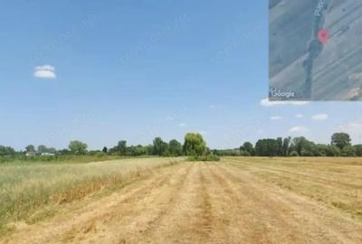 Teren extravilan, Loc Scornicesti, Jud Olt