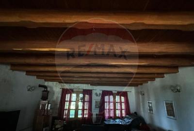 DE VANZARE CASTEL IN MARAMURES - 5