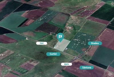 Teren intravilan 10,5 ha în com. Șimand, jud. Arad - 2