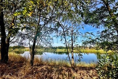 Teren Construcții extravilan de 204100 mp, în Luna - 3