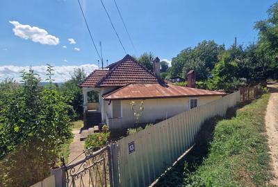 Casa in mediu rural cu teren - 17