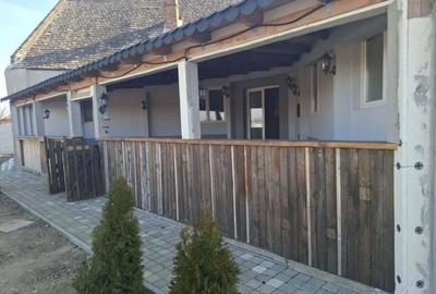 Casă cu 4 camere cu Teren 1075 Mp în Șeitin - 9