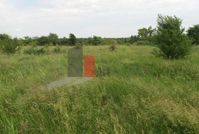 Buftea Teren cu iesire la lac - 19