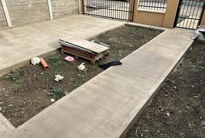 Duplex P+M Drumu Boilor - 3