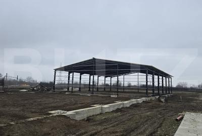 Spațiu industrial, de 1,360 mp, în Botizului
