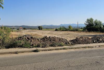 Teren de 6600 mp, în Hărăului
