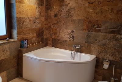 Vila de inchiriat - Pipera (cortina North) - Aviatiei - 9