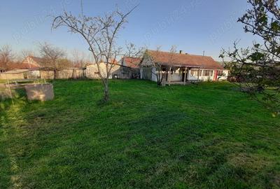 Casă cu 2 camere cu Teren 2000 Mp în Central - 7