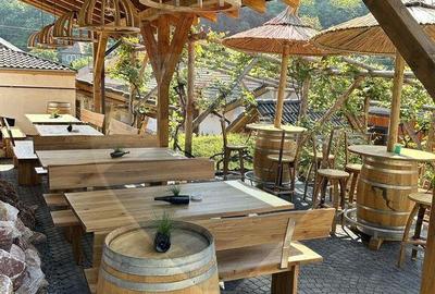 Pensiune cu 15 unita?i de cazare in Media? - 13