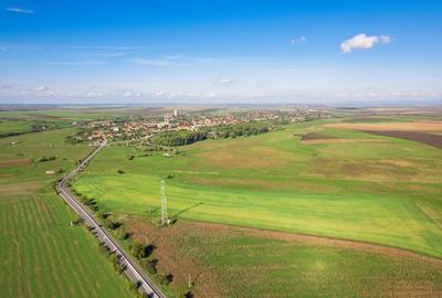 Teren de 104000 mp, în Vinga - 4