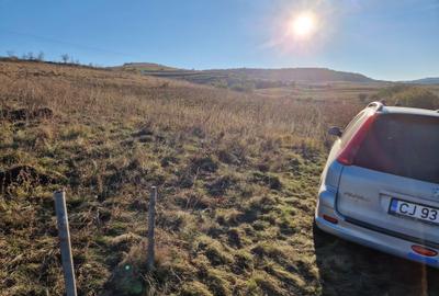 Spațiu comercial, în Turea - 3