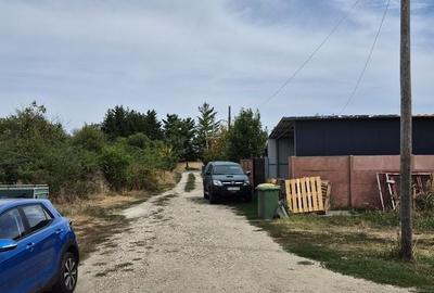 Teren intravilan 1000 mp - Domnesti - 5