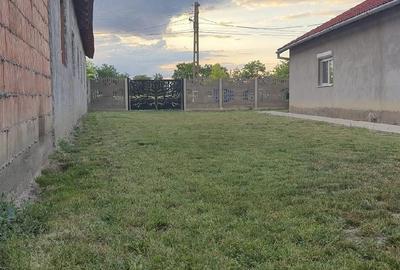 Casă cu Teren 800 Mp în Beba Veche - 1
