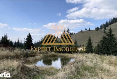 Casă cu 4 camere cu Teren 29000 Mp în Central - 13