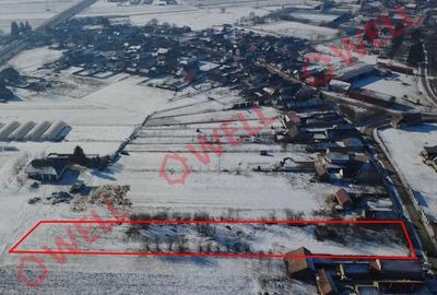 Teren intravilan de vânzare în Chichiș! - 2