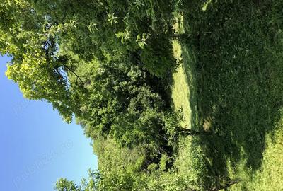 Vand casa cu teren in Paulis - 6