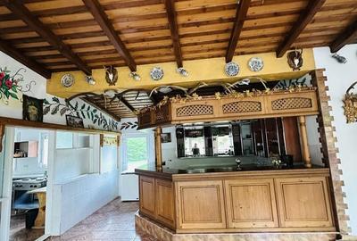 Casă cu 4 camere cu Teren 3000 Mp în Strungari - 3