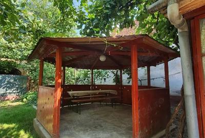 Casă cu 7 camere cu Teren 2500 Mp în Brateiu - 7