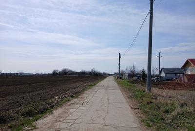 Teren intravilan 16400 mp, Balotesti-Saftica - 50 euro/m2 - 12
