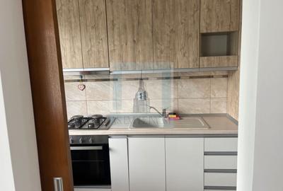 Apartament cu 2 camere semidecomandat, mobilat în Rulmentul - 5
