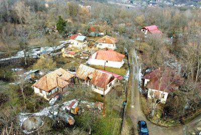 Teren Construcții de 3948 mp, în Provița de Sus - 14