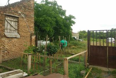 Casă individuală cu 3 camere cu Canalizare în Pojejena - 15