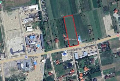 Teren de 4000 mp, în Oituz - 10