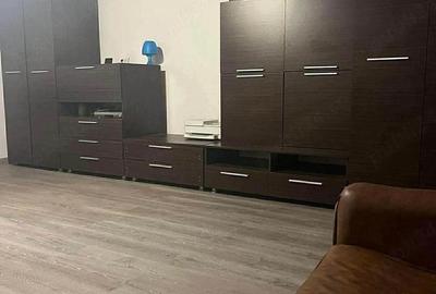 Casă cu 2 camere cu Teren 3023 Mp în Gepiu - 4