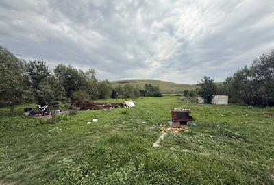 Teren Construcții intravilan de 2900 mp, în Dezmir - 3