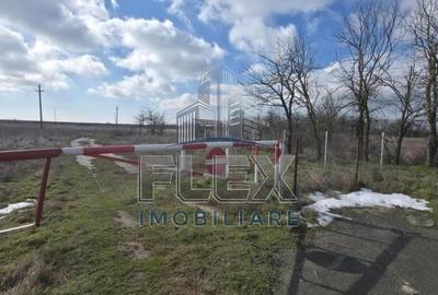 Teren de 38300 mp, în Valea Nucarilor - 3